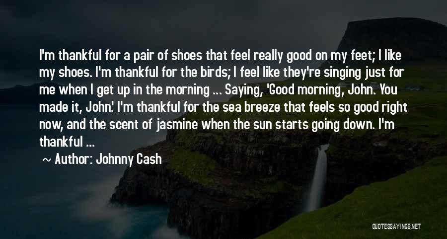 Johnny Cash Quotes: I'm Thankful For A Pair Of Shoes That Feel Really Good On My Feet; I Like My Shoes. I'm Thankful