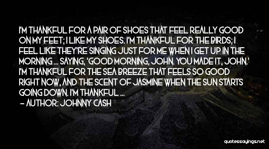 Johnny Cash Quotes: I'm Thankful For A Pair Of Shoes That Feel Really Good On My Feet; I Like My Shoes. I'm Thankful