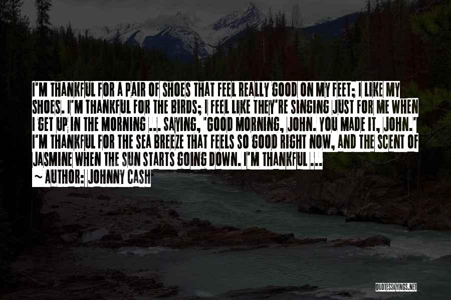 Johnny Cash Quotes: I'm Thankful For A Pair Of Shoes That Feel Really Good On My Feet; I Like My Shoes. I'm Thankful