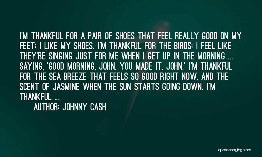 Johnny Cash Quotes: I'm Thankful For A Pair Of Shoes That Feel Really Good On My Feet; I Like My Shoes. I'm Thankful