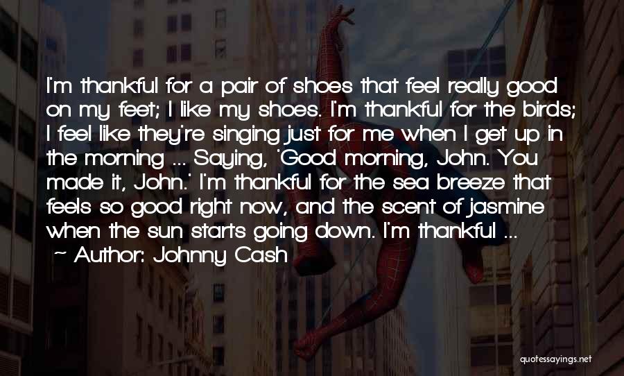 Johnny Cash Quotes: I'm Thankful For A Pair Of Shoes That Feel Really Good On My Feet; I Like My Shoes. I'm Thankful