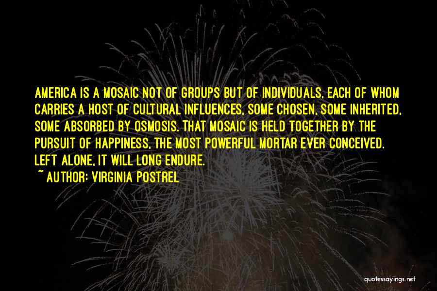 Virginia Postrel Quotes: America Is A Mosaic Not Of Groups But Of Individuals, Each Of Whom Carries A Host Of Cultural Influences, Some