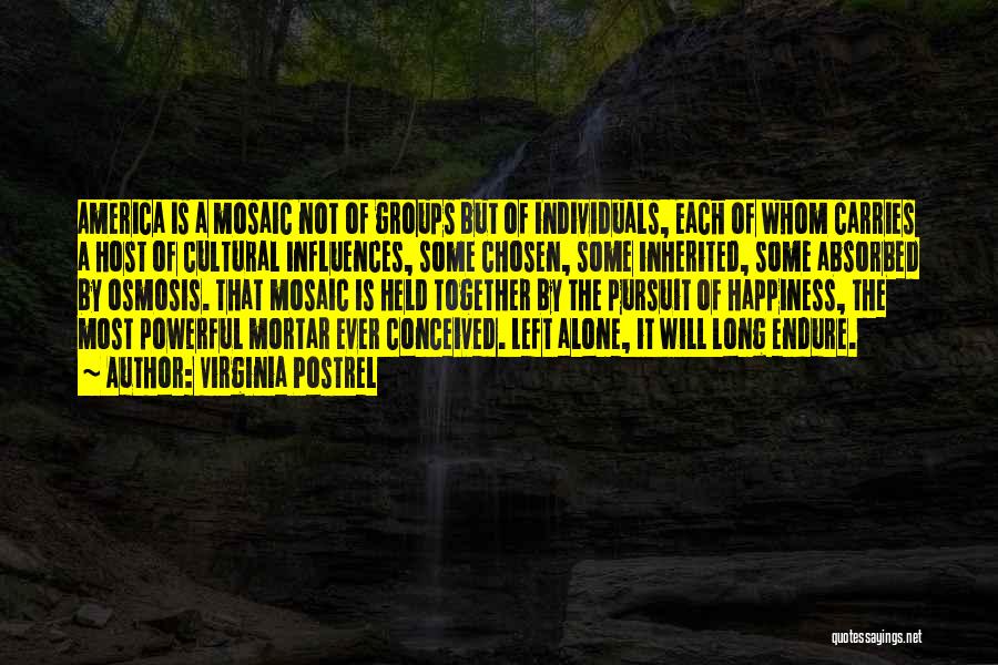 Virginia Postrel Quotes: America Is A Mosaic Not Of Groups But Of Individuals, Each Of Whom Carries A Host Of Cultural Influences, Some