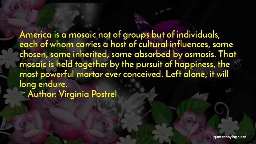 Virginia Postrel Quotes: America Is A Mosaic Not Of Groups But Of Individuals, Each Of Whom Carries A Host Of Cultural Influences, Some