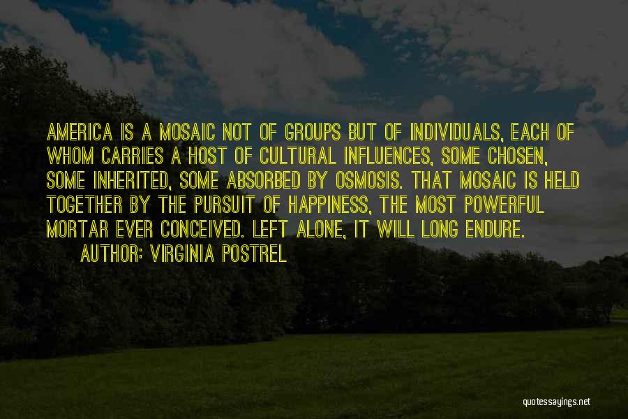 Virginia Postrel Quotes: America Is A Mosaic Not Of Groups But Of Individuals, Each Of Whom Carries A Host Of Cultural Influences, Some