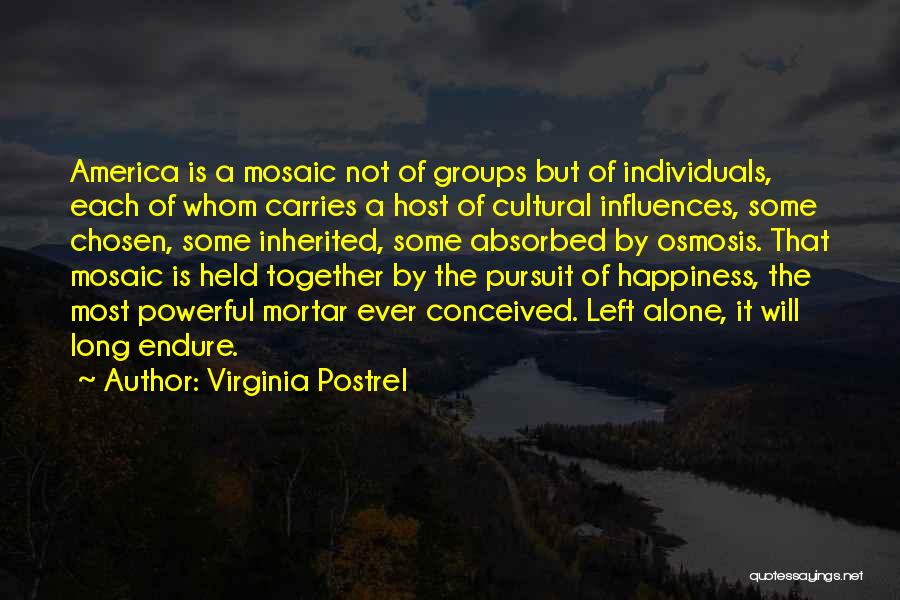 Virginia Postrel Quotes: America Is A Mosaic Not Of Groups But Of Individuals, Each Of Whom Carries A Host Of Cultural Influences, Some