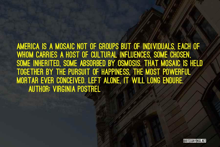 Virginia Postrel Quotes: America Is A Mosaic Not Of Groups But Of Individuals, Each Of Whom Carries A Host Of Cultural Influences, Some