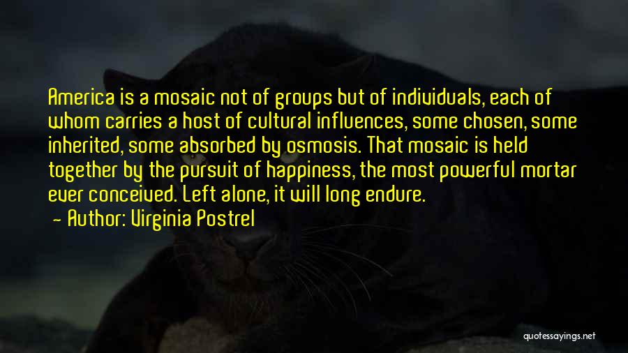 Virginia Postrel Quotes: America Is A Mosaic Not Of Groups But Of Individuals, Each Of Whom Carries A Host Of Cultural Influences, Some