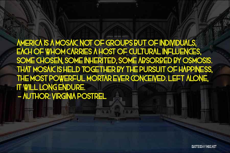 Virginia Postrel Quotes: America Is A Mosaic Not Of Groups But Of Individuals, Each Of Whom Carries A Host Of Cultural Influences, Some