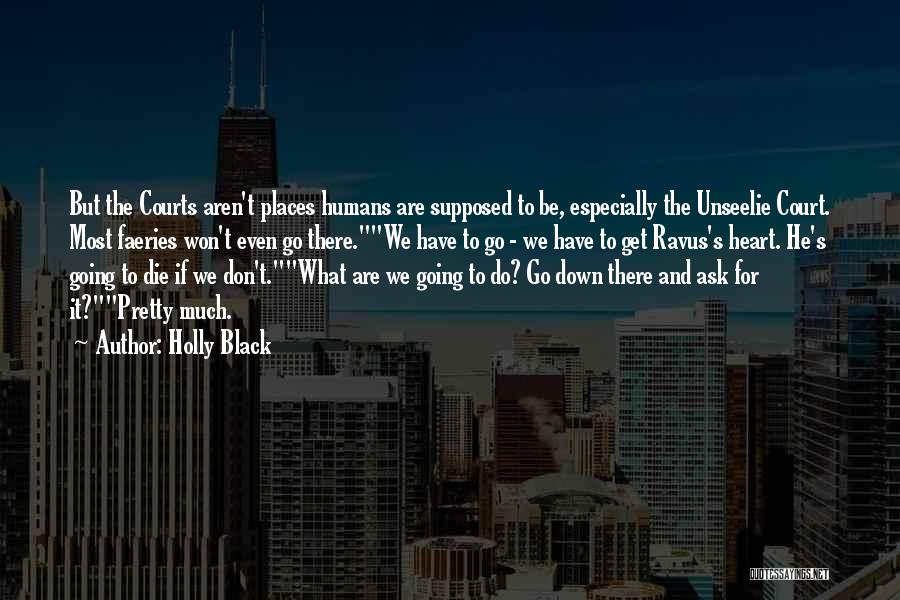 Holly Black Quotes: But The Courts Aren't Places Humans Are Supposed To Be, Especially The Unseelie Court. Most Faeries Won't Even Go There.we