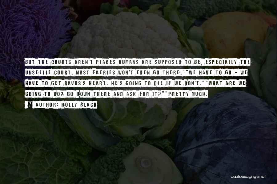 Holly Black Quotes: But The Courts Aren't Places Humans Are Supposed To Be, Especially The Unseelie Court. Most Faeries Won't Even Go There.we