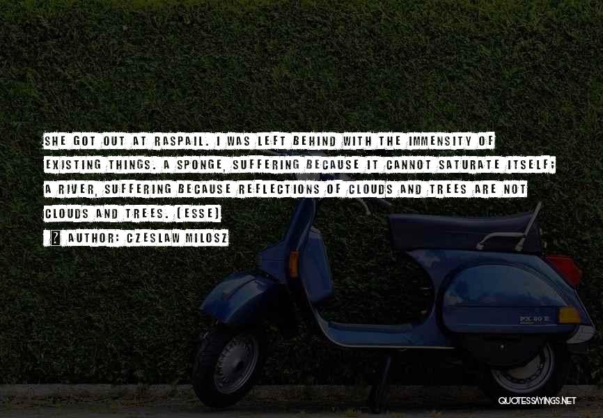 Czeslaw Milosz Quotes: She Got Out At Raspail. I Was Left Behind With The Immensity Of Existing Things. A Sponge, Suffering Because It