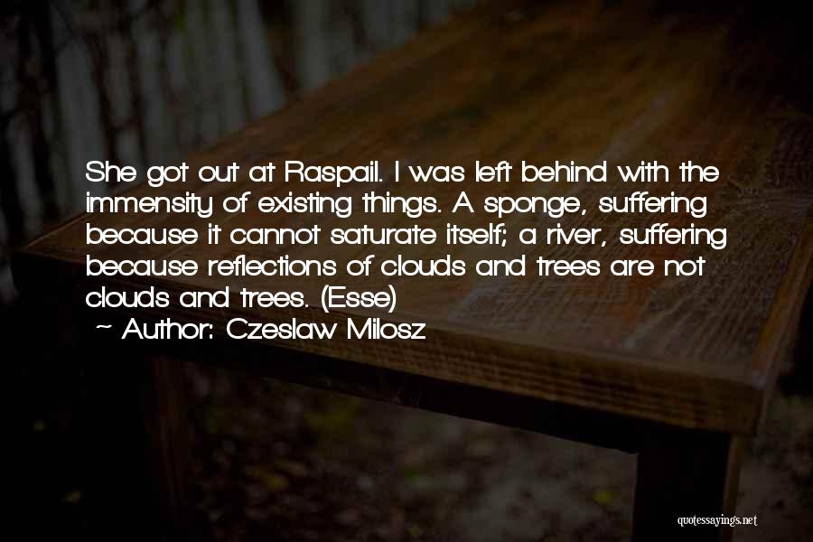 Czeslaw Milosz Quotes: She Got Out At Raspail. I Was Left Behind With The Immensity Of Existing Things. A Sponge, Suffering Because It