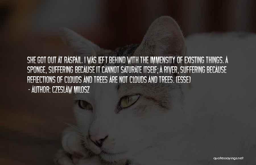 Czeslaw Milosz Quotes: She Got Out At Raspail. I Was Left Behind With The Immensity Of Existing Things. A Sponge, Suffering Because It