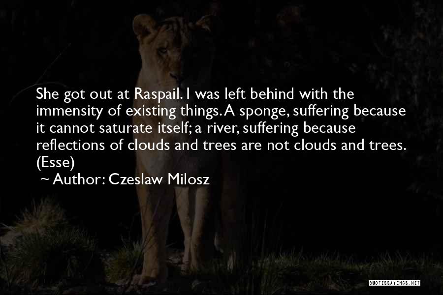 Czeslaw Milosz Quotes: She Got Out At Raspail. I Was Left Behind With The Immensity Of Existing Things. A Sponge, Suffering Because It