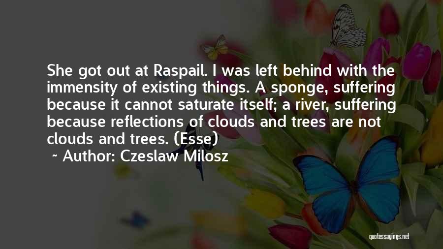 Czeslaw Milosz Quotes: She Got Out At Raspail. I Was Left Behind With The Immensity Of Existing Things. A Sponge, Suffering Because It