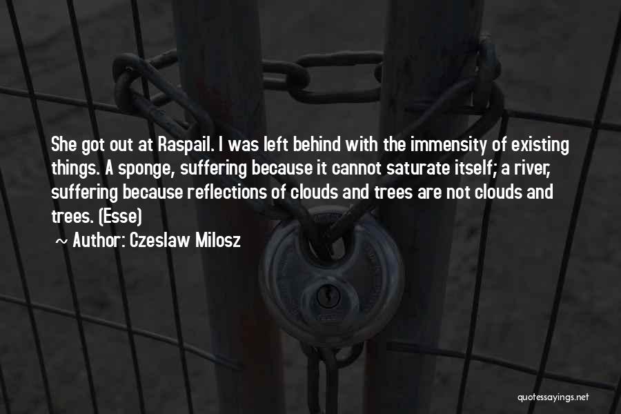 Czeslaw Milosz Quotes: She Got Out At Raspail. I Was Left Behind With The Immensity Of Existing Things. A Sponge, Suffering Because It