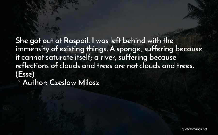 Czeslaw Milosz Quotes: She Got Out At Raspail. I Was Left Behind With The Immensity Of Existing Things. A Sponge, Suffering Because It