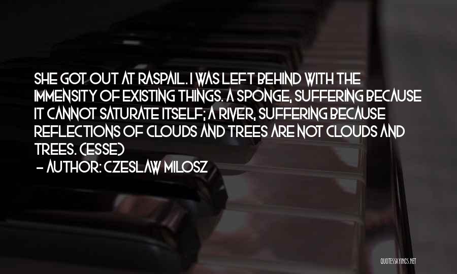 Czeslaw Milosz Quotes: She Got Out At Raspail. I Was Left Behind With The Immensity Of Existing Things. A Sponge, Suffering Because It