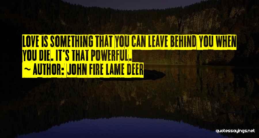 John Fire Lame Deer Quotes: Love Is Something That You Can Leave Behind You When You Die. It's That Powerful.