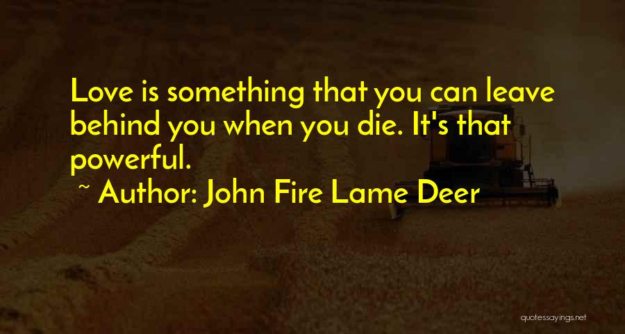 John Fire Lame Deer Quotes: Love Is Something That You Can Leave Behind You When You Die. It's That Powerful.