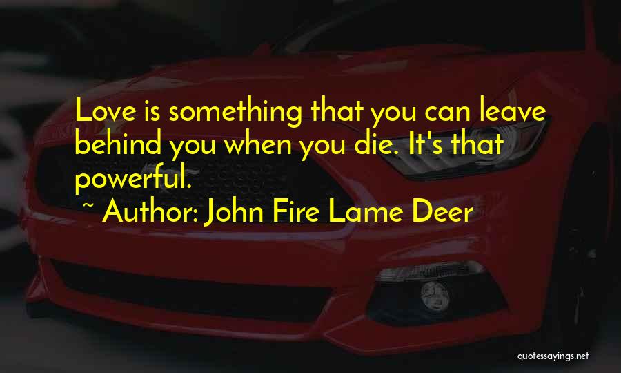 John Fire Lame Deer Quotes: Love Is Something That You Can Leave Behind You When You Die. It's That Powerful.