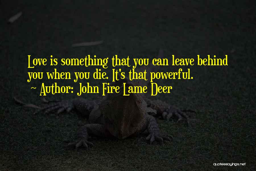 John Fire Lame Deer Quotes: Love Is Something That You Can Leave Behind You When You Die. It's That Powerful.