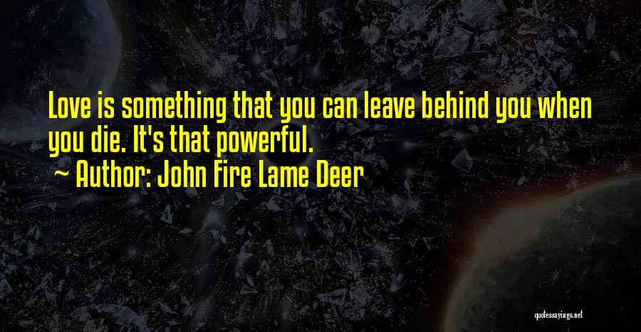 John Fire Lame Deer Quotes: Love Is Something That You Can Leave Behind You When You Die. It's That Powerful.