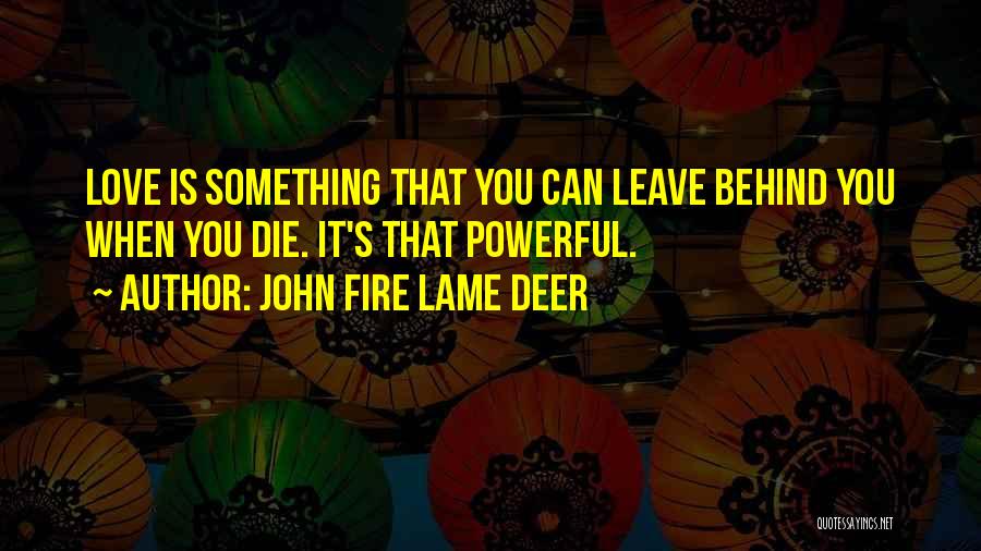 John Fire Lame Deer Quotes: Love Is Something That You Can Leave Behind You When You Die. It's That Powerful.