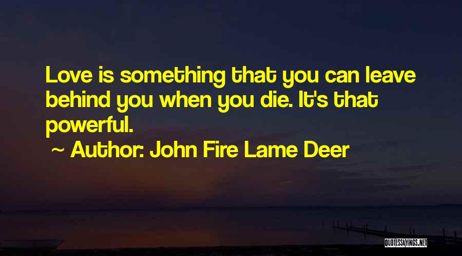 John Fire Lame Deer Quotes: Love Is Something That You Can Leave Behind You When You Die. It's That Powerful.