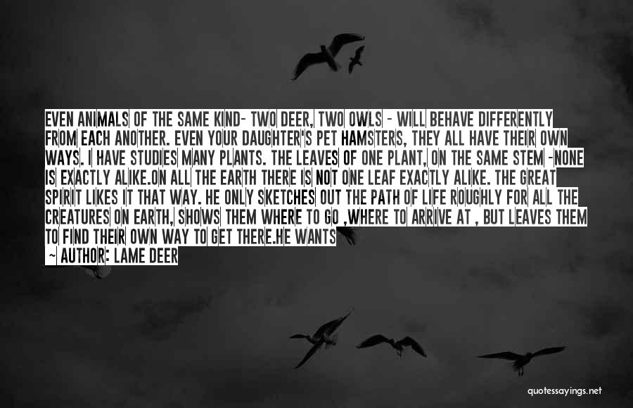 Lame Deer Quotes: Even Animals Of The Same Kind- Two Deer, Two Owls - Will Behave Differently From Each Another. Even Your Daughter's