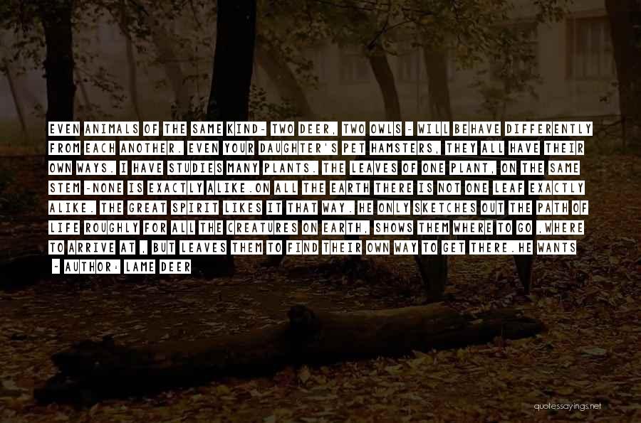 Lame Deer Quotes: Even Animals Of The Same Kind- Two Deer, Two Owls - Will Behave Differently From Each Another. Even Your Daughter's