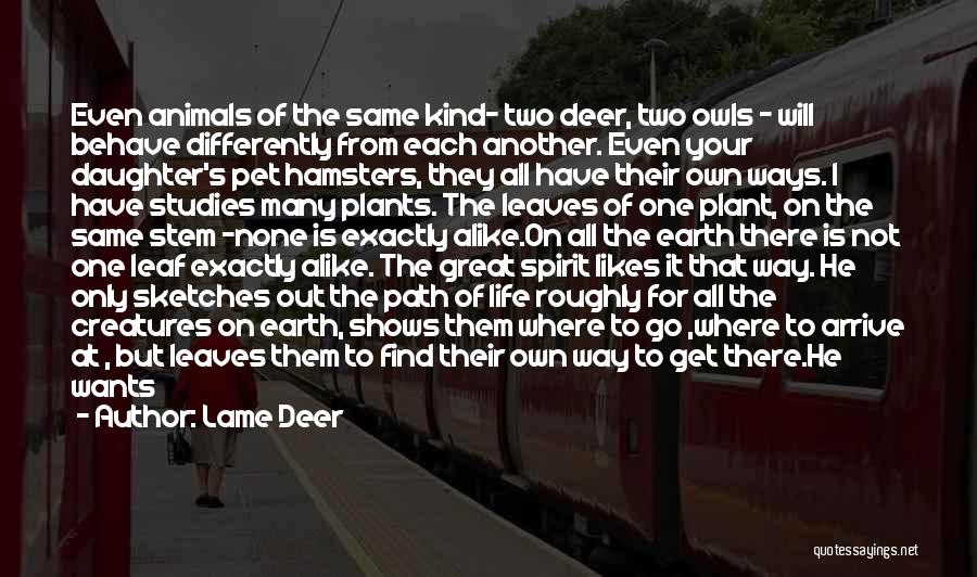 Lame Deer Quotes: Even Animals Of The Same Kind- Two Deer, Two Owls - Will Behave Differently From Each Another. Even Your Daughter's
