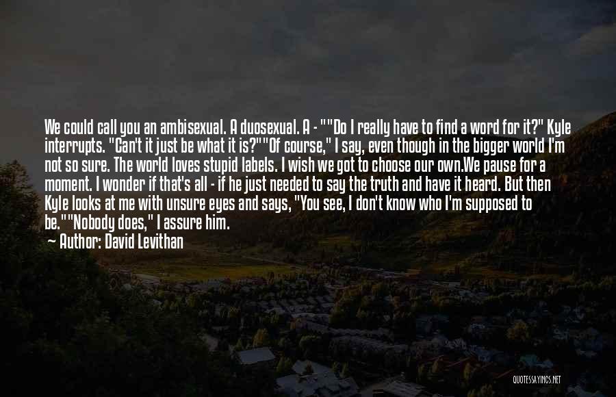 David Levithan Quotes: We Could Call You An Ambisexual. A Duosexual. A - Do I Really Have To Find A Word For It?