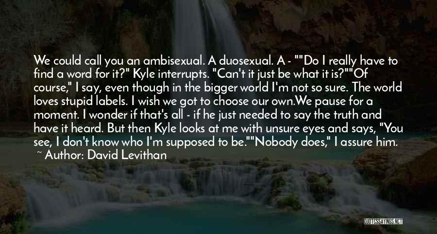 David Levithan Quotes: We Could Call You An Ambisexual. A Duosexual. A - Do I Really Have To Find A Word For It?