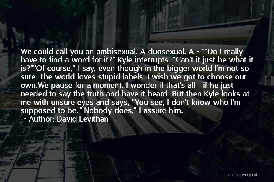 David Levithan Quotes: We Could Call You An Ambisexual. A Duosexual. A - Do I Really Have To Find A Word For It?