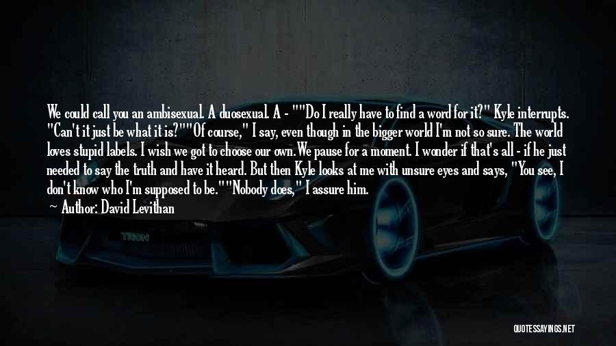 David Levithan Quotes: We Could Call You An Ambisexual. A Duosexual. A - Do I Really Have To Find A Word For It?