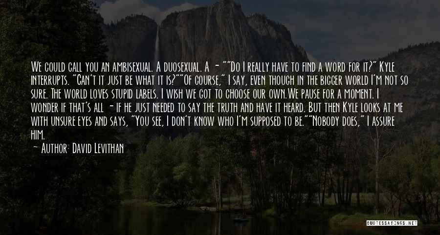 David Levithan Quotes: We Could Call You An Ambisexual. A Duosexual. A - Do I Really Have To Find A Word For It?