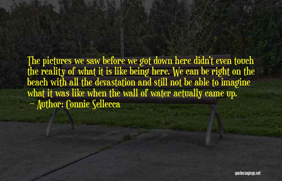 Connie Sellecca Quotes: The Pictures We Saw Before We Got Down Here Didn't Even Touch The Reality Of What It Is Like Being
