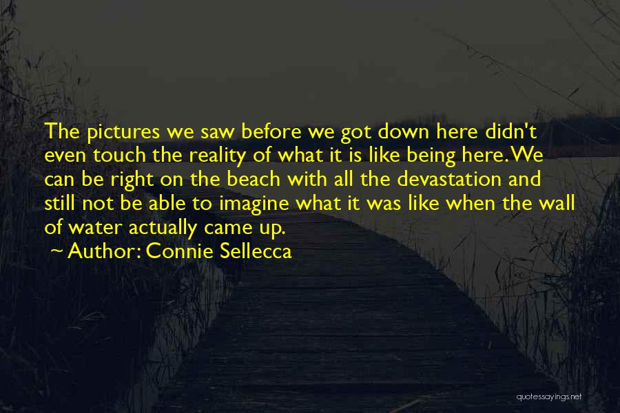 Connie Sellecca Quotes: The Pictures We Saw Before We Got Down Here Didn't Even Touch The Reality Of What It Is Like Being