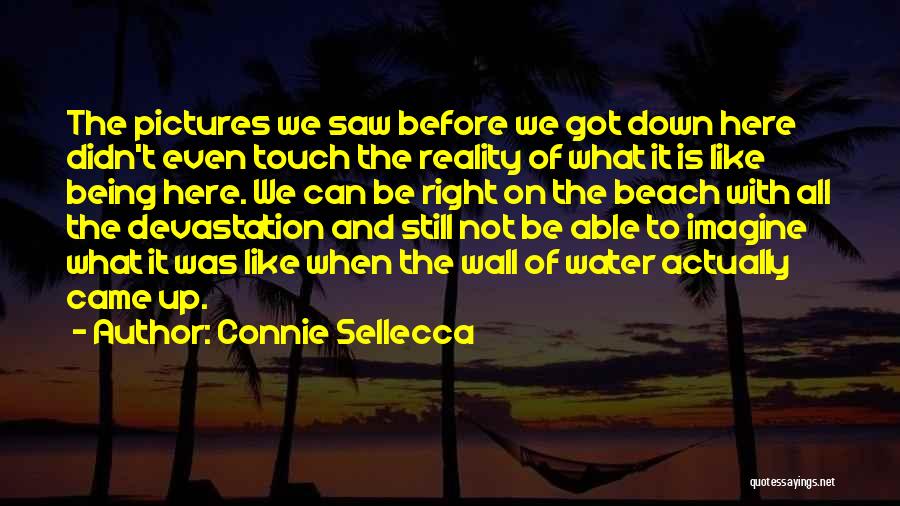 Connie Sellecca Quotes: The Pictures We Saw Before We Got Down Here Didn't Even Touch The Reality Of What It Is Like Being