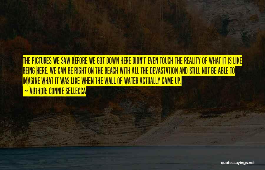 Connie Sellecca Quotes: The Pictures We Saw Before We Got Down Here Didn't Even Touch The Reality Of What It Is Like Being