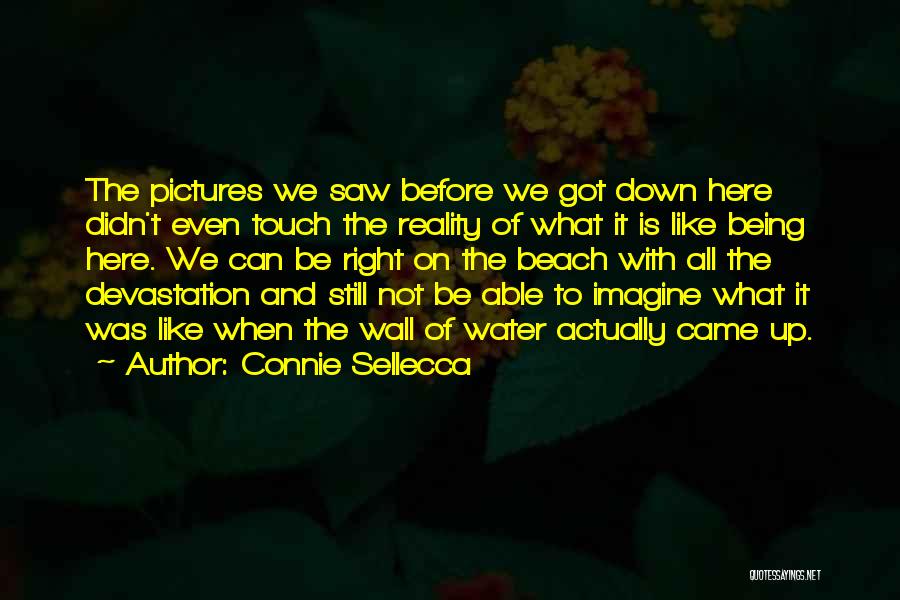 Connie Sellecca Quotes: The Pictures We Saw Before We Got Down Here Didn't Even Touch The Reality Of What It Is Like Being