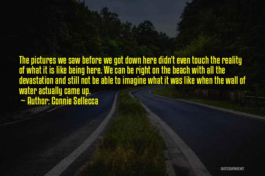 Connie Sellecca Quotes: The Pictures We Saw Before We Got Down Here Didn't Even Touch The Reality Of What It Is Like Being