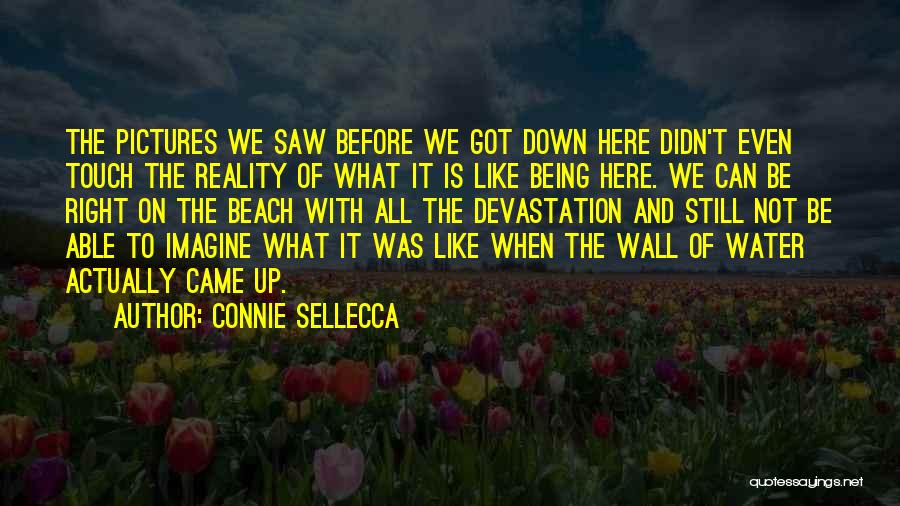 Connie Sellecca Quotes: The Pictures We Saw Before We Got Down Here Didn't Even Touch The Reality Of What It Is Like Being