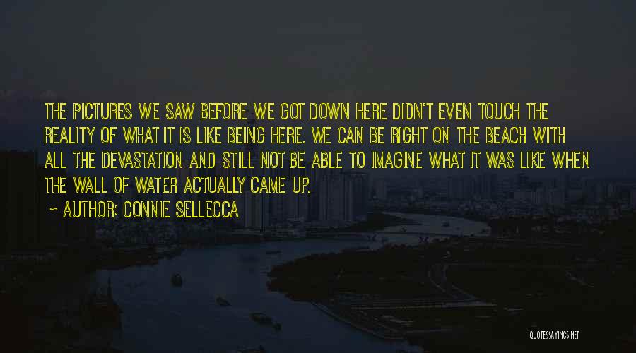 Connie Sellecca Quotes: The Pictures We Saw Before We Got Down Here Didn't Even Touch The Reality Of What It Is Like Being