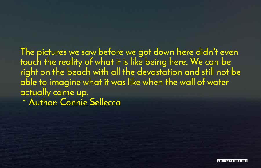 Connie Sellecca Quotes: The Pictures We Saw Before We Got Down Here Didn't Even Touch The Reality Of What It Is Like Being