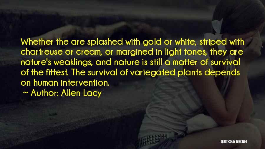 Allen Lacy Quotes: Whether The Are Splashed With Gold Or White, Striped With Chartreuse Or Cream, Or Margined In Light Tones, They Are