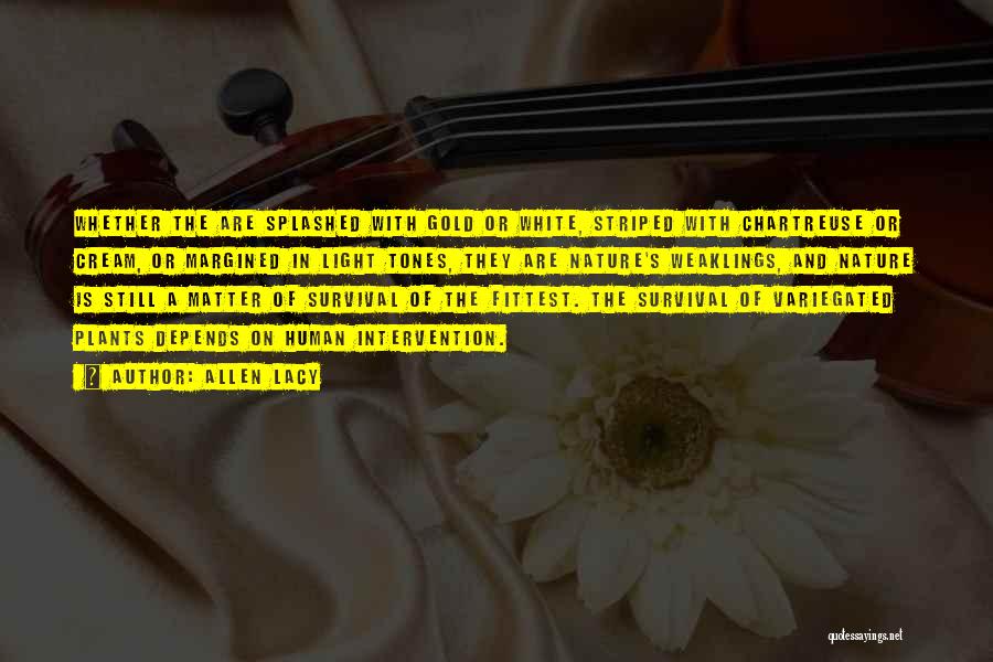 Allen Lacy Quotes: Whether The Are Splashed With Gold Or White, Striped With Chartreuse Or Cream, Or Margined In Light Tones, They Are