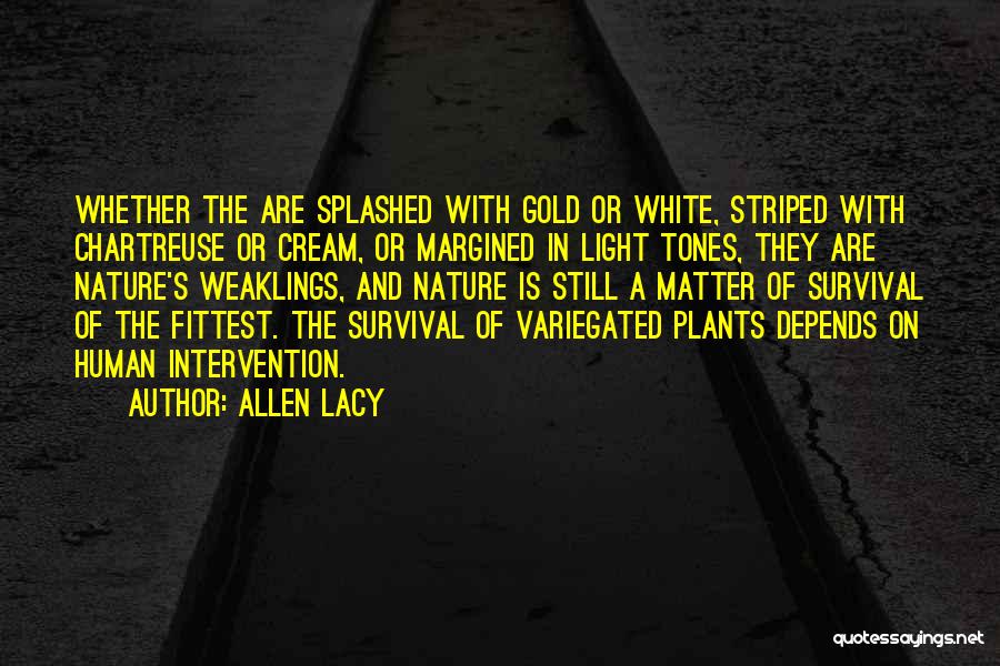 Allen Lacy Quotes: Whether The Are Splashed With Gold Or White, Striped With Chartreuse Or Cream, Or Margined In Light Tones, They Are